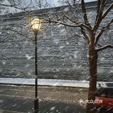 下雪天更适合下午茶
