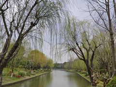 -上海鲜花港