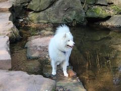 -重庆彩云湖湿地公园