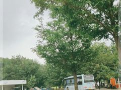 -天目湖松岭竹海漂流