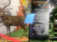 -都市枪神实弹射击俱乐部