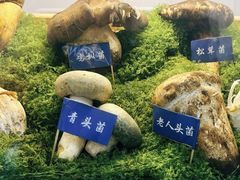 -束河人家(南锣鼓巷店)