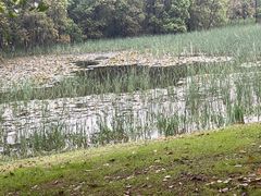 -艾溪湖湿地公园