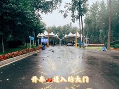 -秦皇岛野生动物园