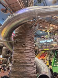 -卡通尼·Safari非洲探索乐园·生日会(金桥国际商业广场店)