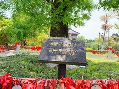 -董永七仙女文化园