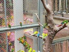 -正佳雨林生态植物园