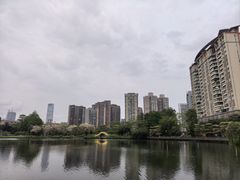 -四海公园(南山区)