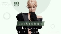 -ODIN 奥丁形象设计 