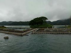 -金盆阿嬷香菇茶叶蛋(玄光店)