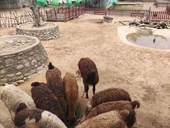 -西安秦岭野生动物园