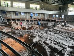 -自贡恐龙博物馆