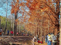 -白水寺森林公园