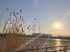 -大兴滨河森林公园