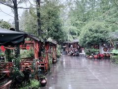 -青城甲(青城山店)