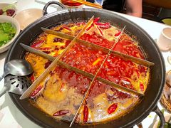 -朱氏胖子烂火锅(洪崖洞店)