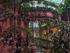 -正佳雨林生态植物园