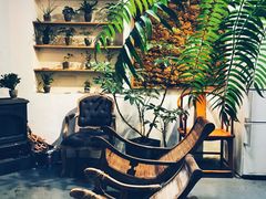 -植觉