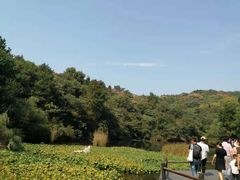 -天目湖山水园