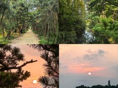 -日照海滨国家森林公园