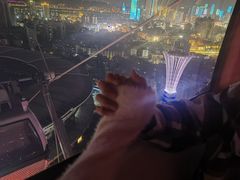 -星城之眼摩天轮