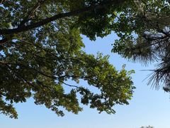 -青岛第三海水浴场