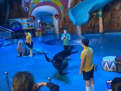 -烟台海昌鲸鲨海洋公园