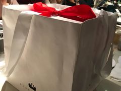 -BLACKSWAN黑天鹅(环球店)