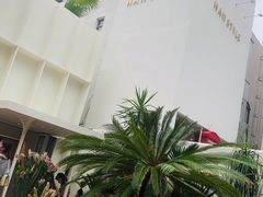 -金北顺大锅家(신사본점)