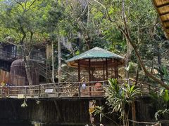 -海南槟榔谷黎苗文化旅游区