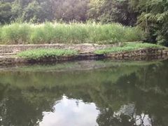 -成都市活水公园