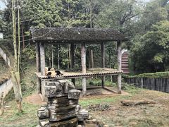 -中国大熊猫保护研究中心雅安碧峰峡基地