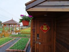 阳春三月的龙湖东院特色民宿农庄-龙湖东院农庄(乡间小路店)