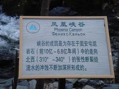 -凤凰山国家森林公园