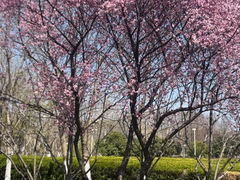 -白塘生态植物园
