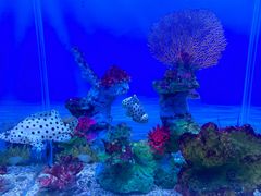 -秦皇岛新澳海底世界