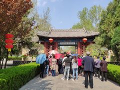 -大槐树寻根祭祖园