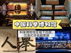 -奇芳阁·百年清真南京菜(夫子庙店)