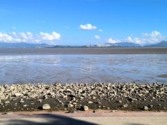 -深圳湾公园(南山区)