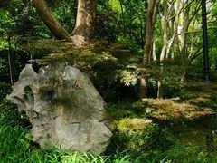 -西湖风景区-江洋畈生态公园