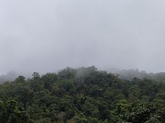 -野象谷景区