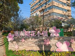 -高东镇樱花园