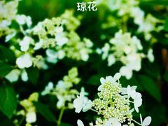 -国家植物园