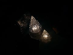 -桃花沅火锅(长嘉汇江景店)