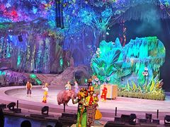 -广州长隆国际大马戏