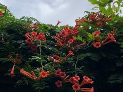 -白塘生态植物园