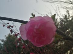 -北极寺公园
