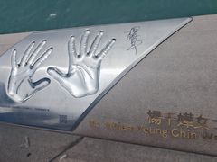 -星光大道