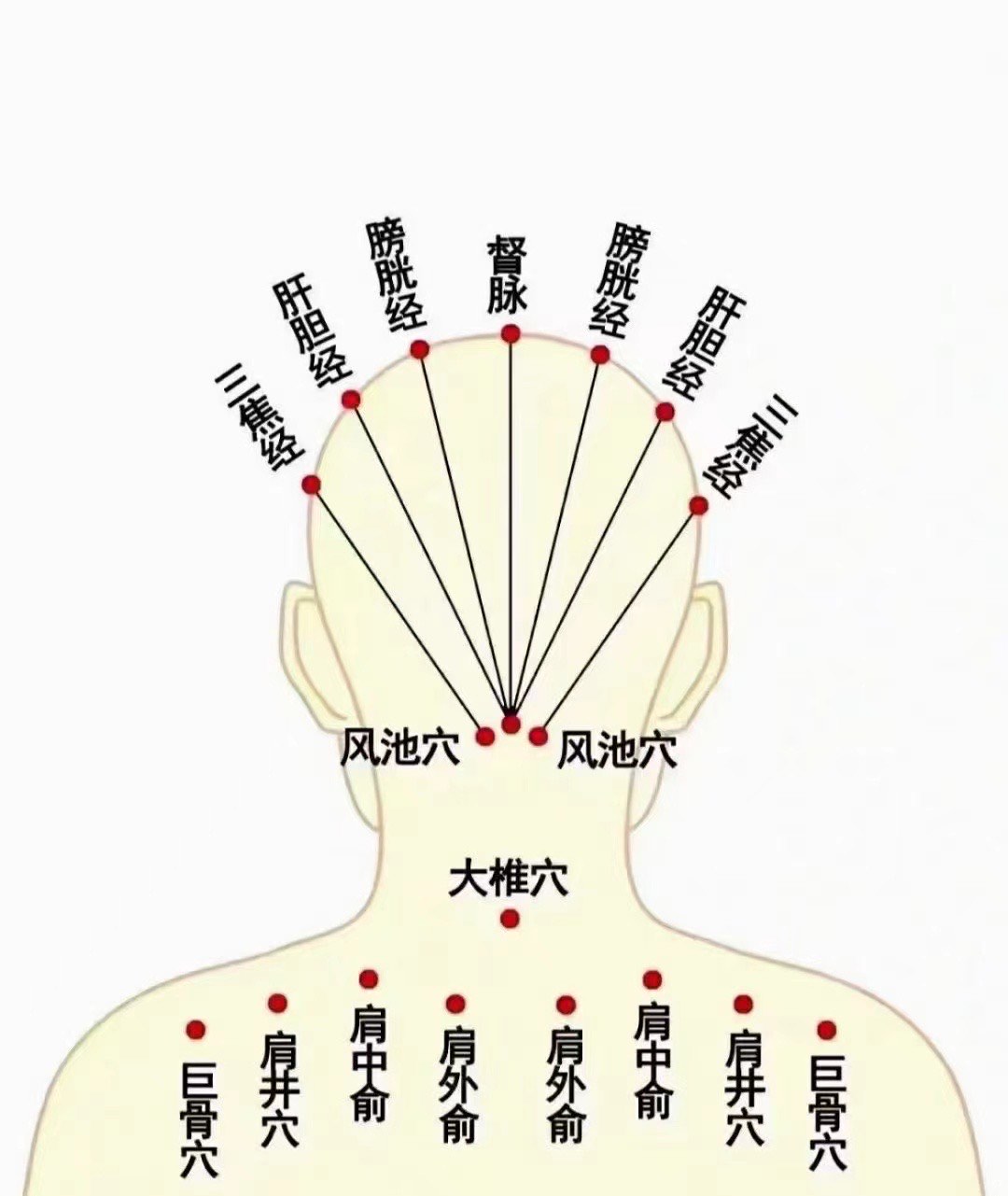 小肠经不通的症状图片