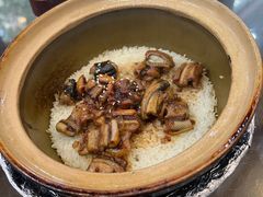 -红星光发煲仔饭(文海店)